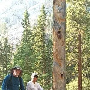 Meet your Posher, Evelyn